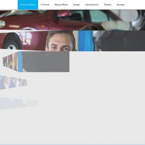 Naprawa pompowtryskiwaczy - Piotrków Trybunalski