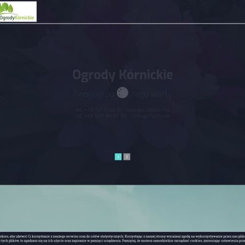 Krzewy iglaste szkółka w Poznaniu