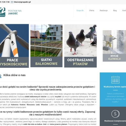 Linki przeciw ptakom - Kraków