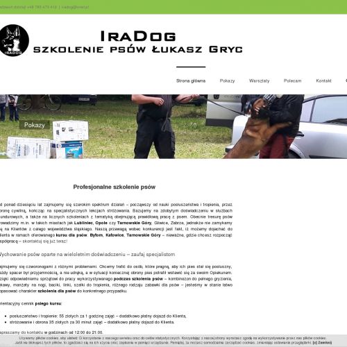 Szkolenia psów w Tarnowskich Górach