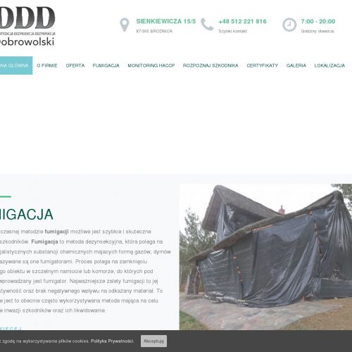 Usuwanie gniazd szerszeni - Brodnica