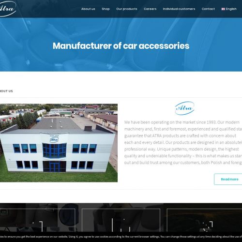 Pokrowiec ochronny do bagażnika