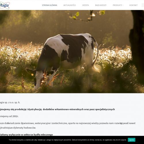 Zasuszanie krów mlecznych