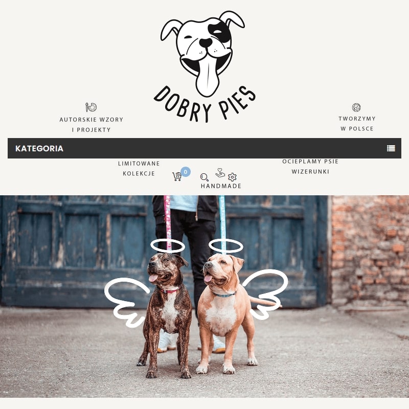 Linka treningowa dla psa 10m