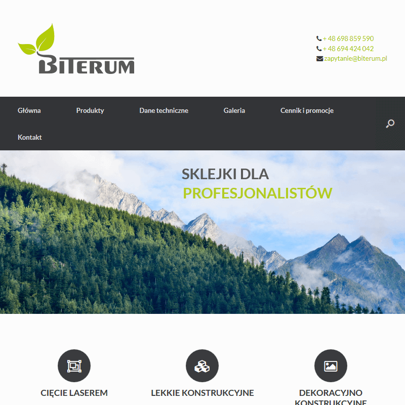 Poznań - sklejka brzozowa