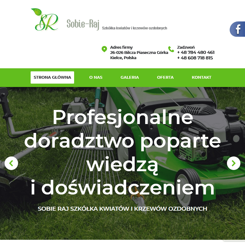 Kwiaty i krzewy bilcza w Kielcach