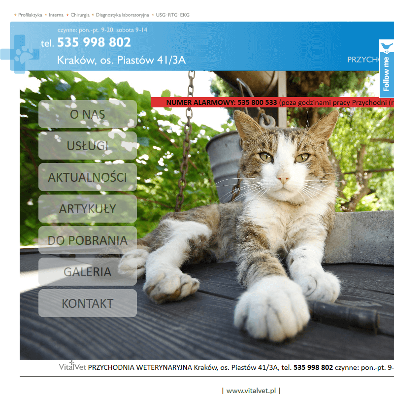 Wieliczka - gabinet weterynarii